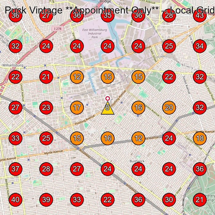 Puck Vintage **Appointment Only** GeoGrid visibility map for Vintage Clothing Store in Brooklyn